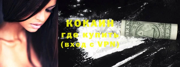 твердый Богданович