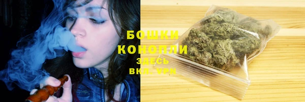 твердый Богданович