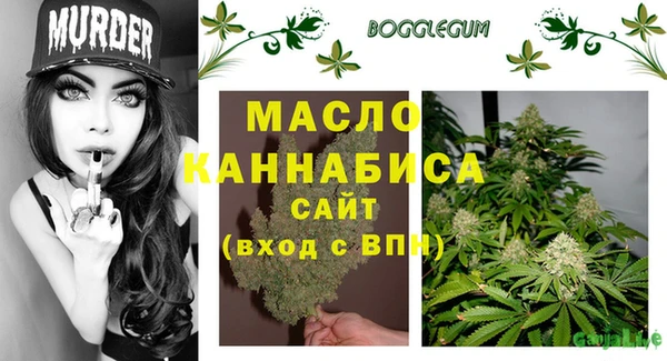 mdpv Богородицк