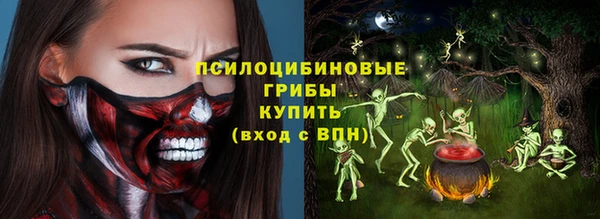 тгк Богородск
