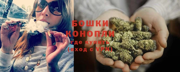 твердый Богданович