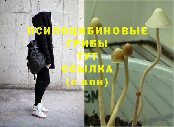 прущая мука Сатка