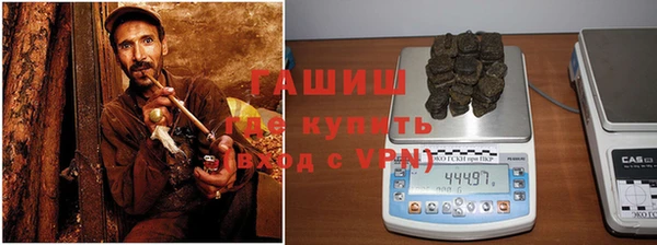 твердый Богданович