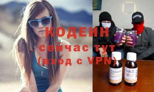 mdpv Богородицк