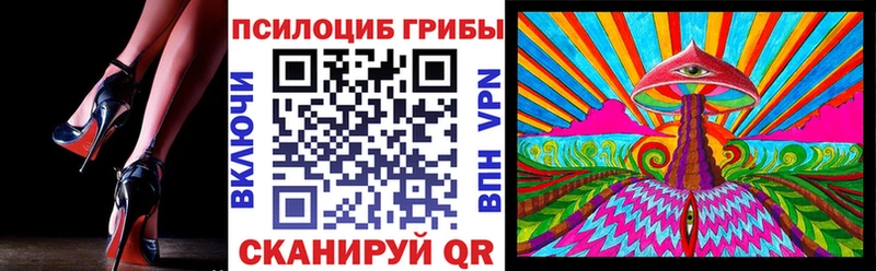 Купить где  Вятские Поляны  Псилоцибиновые грибы GOLDEN TEACHER 